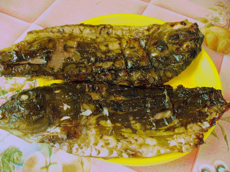 Скумбрия на углях кружками