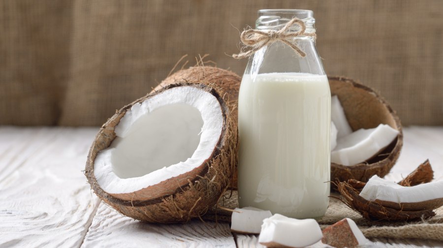 Coconut Milk Powder Santan