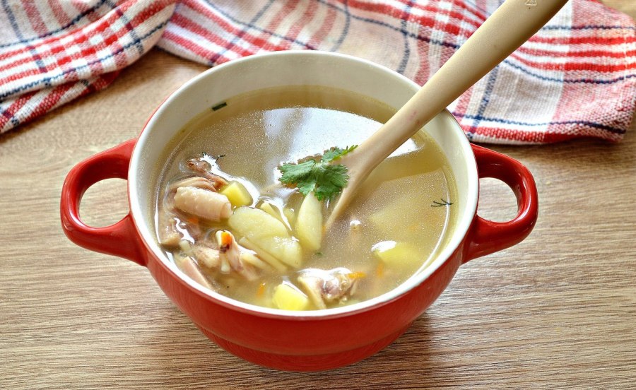 Вкусный суп из индейки
