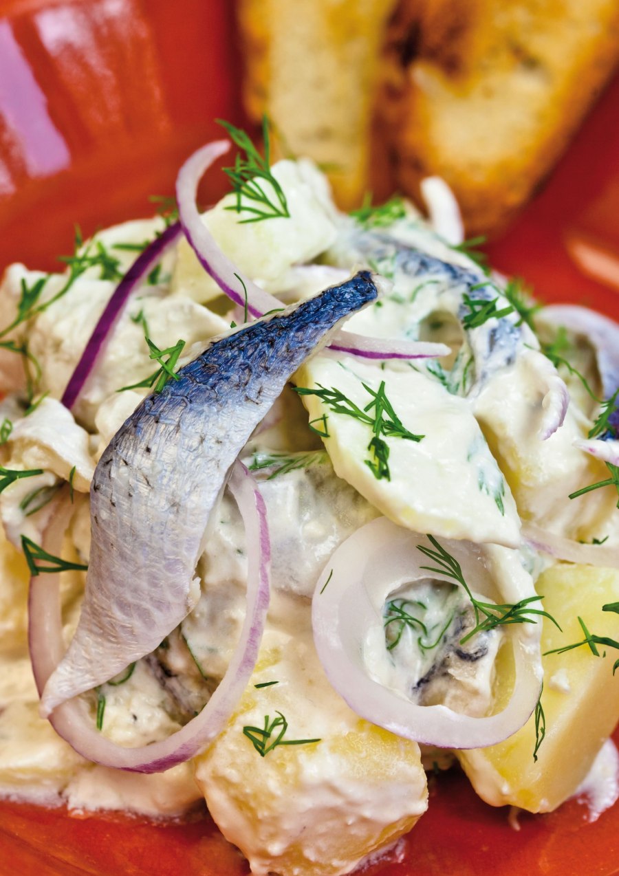Салат с селедкой и луком и горчицей