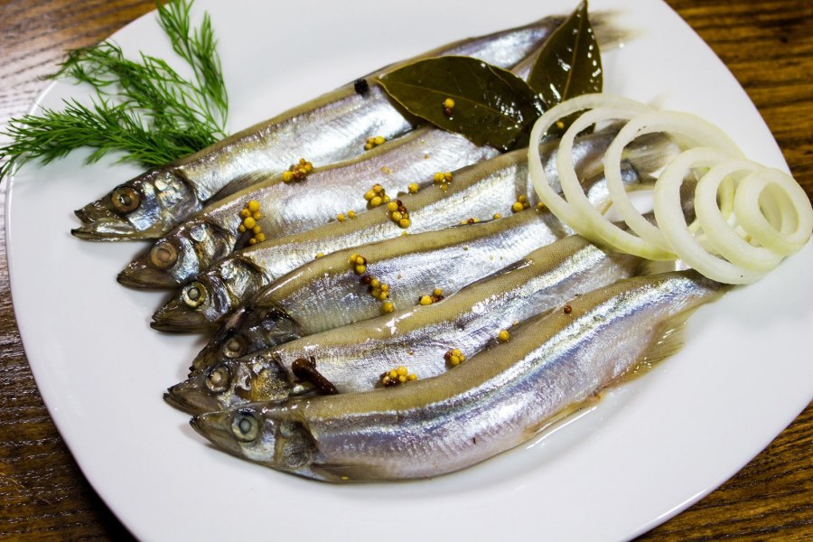 Сельдь скумбрия салака