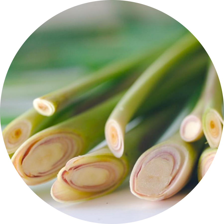 Лемонграсс Хаус