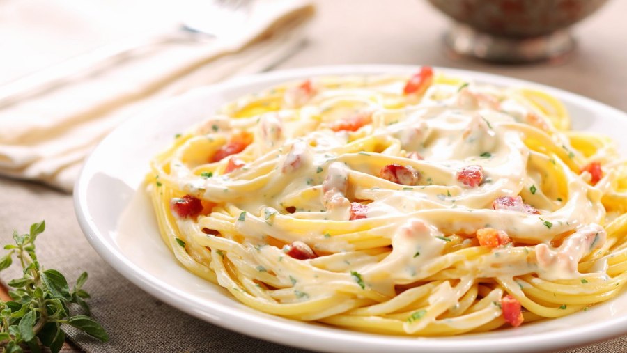 Alfredo pasta Business lunch