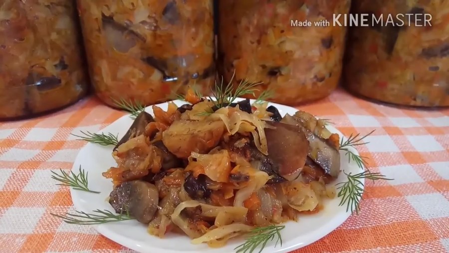 Солянка диетическая