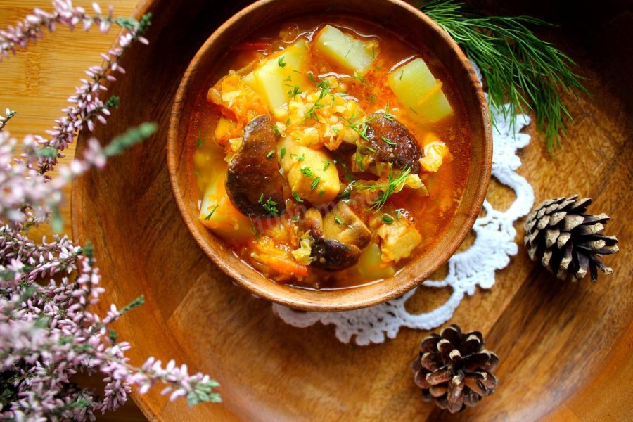 Кукпад солянка