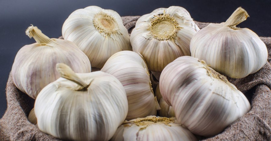 Чеснок для лагмана