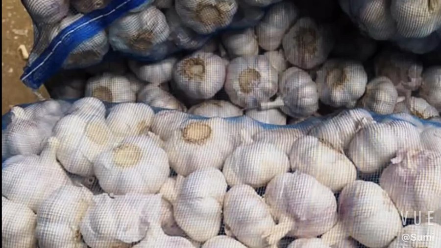 Чеснок Uzbek Tilida