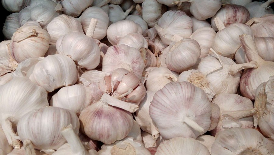 Китайский чеснок фото