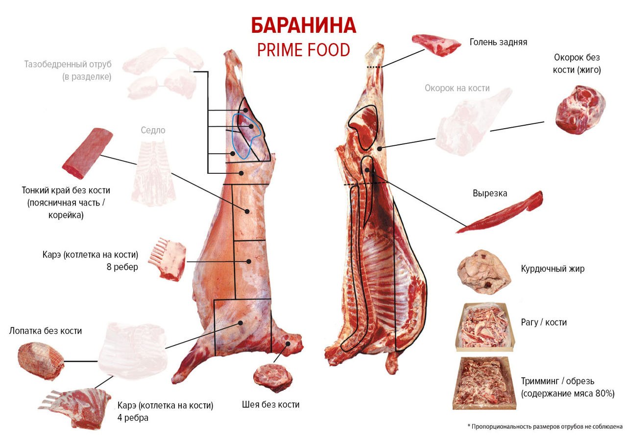 Как разделать костей. Схема разделки мяса баранины. Мясо баранина схема разруба. Схема разделки туши баранины. Схема кулинарной разделки туши баранины.