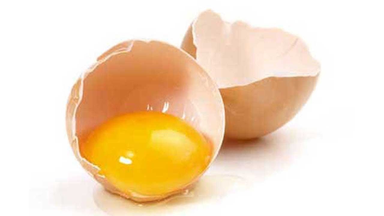 The strongest egg yolk