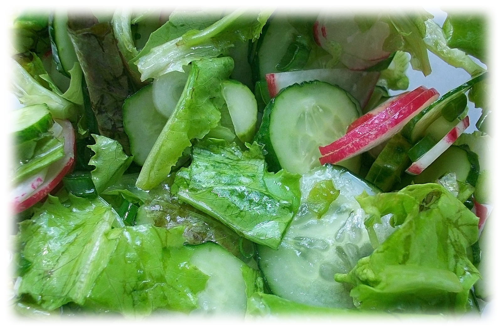 Рецепт салата из огурцов с маслом. Зеленый салат. Зелень для салатов. Салат из зеленых овощей. Огуречный салат.
