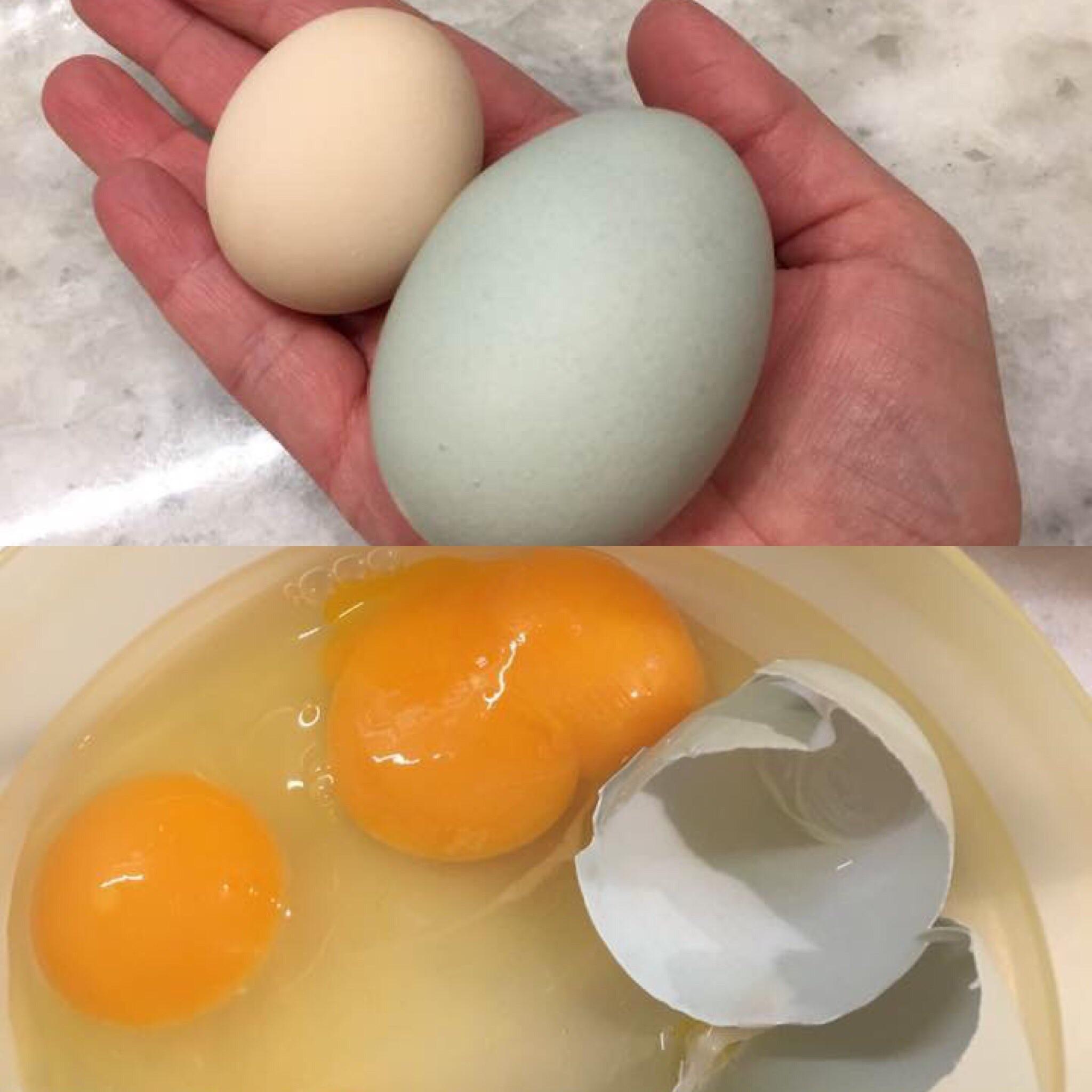 1 неделя 2 яйца